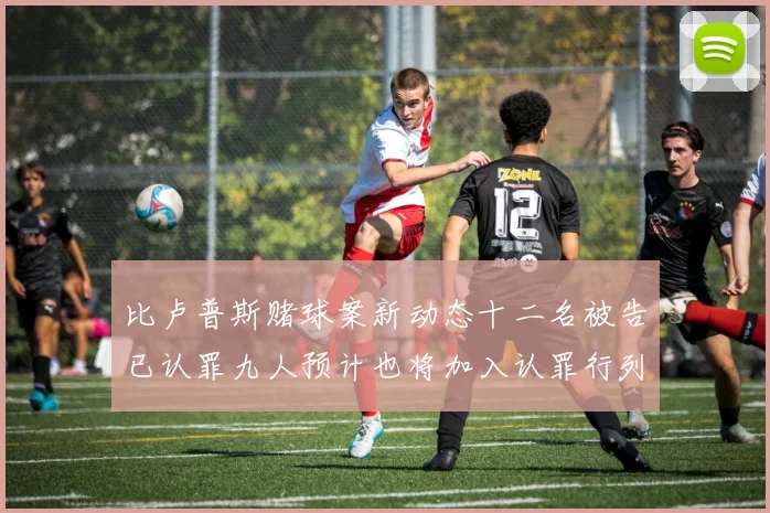 比卢普斯赌球案新动态十二名被告已认罪九人预计也将加入认罪行列